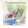 Rock pool Plaque